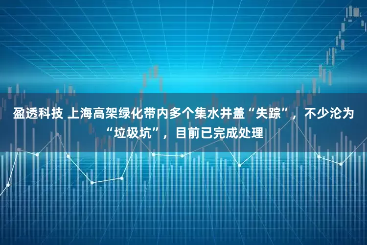 盈透科技 上海高架绿化带内多个集水井盖“失踪”，不少沦为“垃圾坑”，目前已完成处理