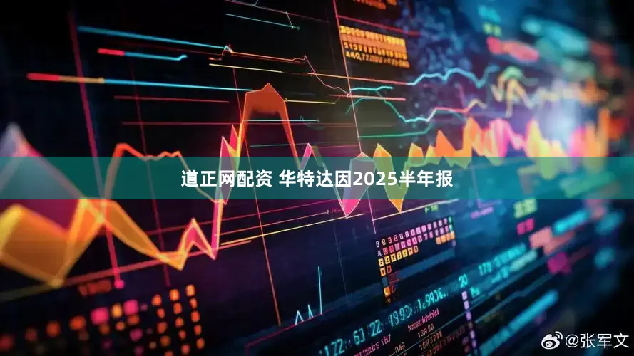 道正网配资 华特达因2025半年报