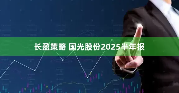 长盈策略 国光股份2025半年报