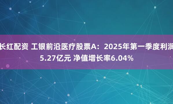 长红配资 工银前沿医疗股票A：2025年第一季度利润5.27亿元 净值增长率6.04%