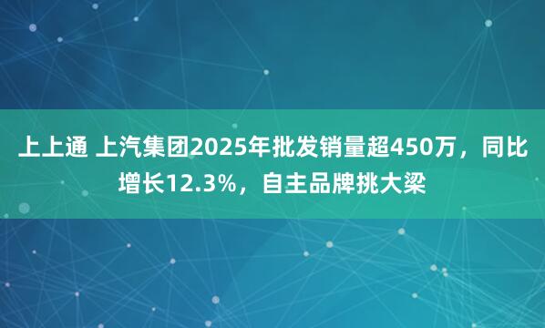 上上通 上汽集团2025年批发销量超450万，同比增长12.3%，自主品牌挑大梁
