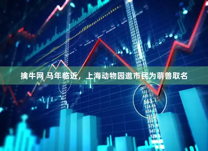 擒牛网 马年临近，上海动物园邀市民为萌兽取名