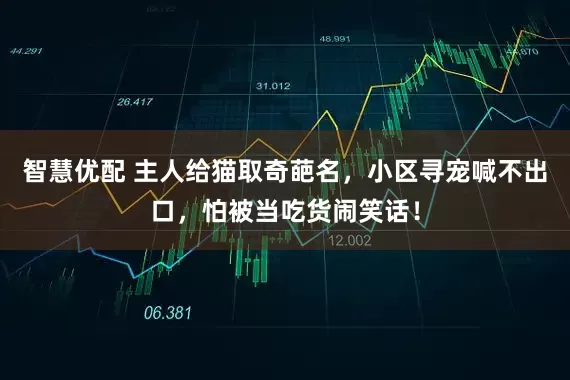 智慧优配 主人给猫取奇葩名，小区寻宠喊不出口，怕被当吃货闹笑话！