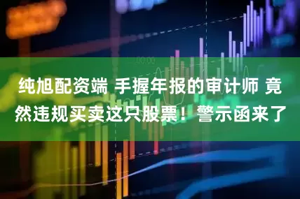 纯旭配资端 手握年报的审计师 竟然违规买卖这只股票！警示函来了