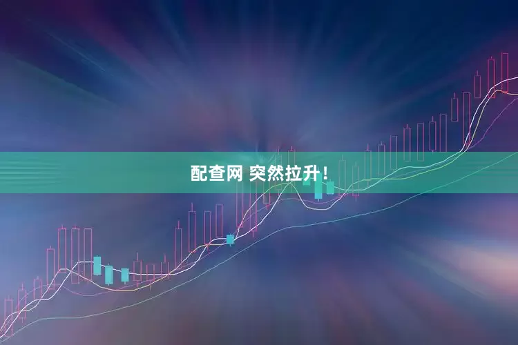 配查网 突然拉升！